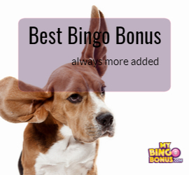 Best Bingo Bonus